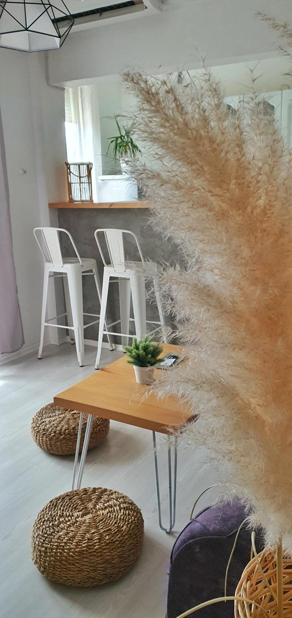 Elyon Apartment 1 オフリド エクステリア 写真